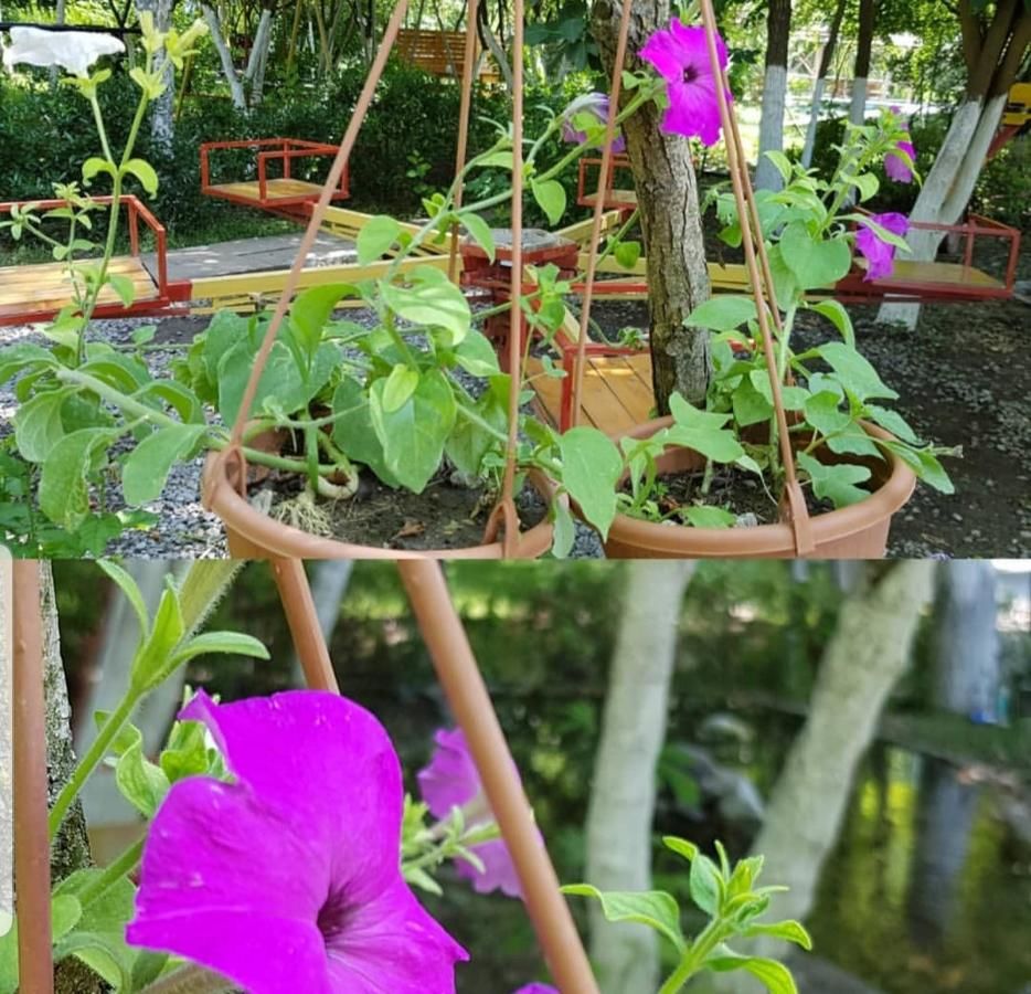 Отель Çıraqban.otel Исмаиллы